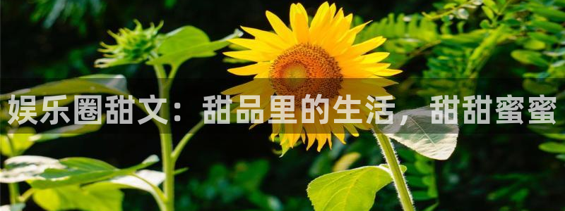 天辰娱乐app网页入口
