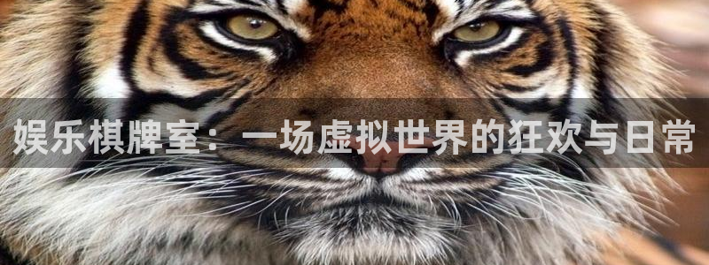 壹号大舞台下载链接