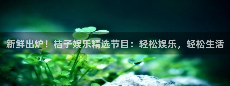 电子游戏天辰娱乐