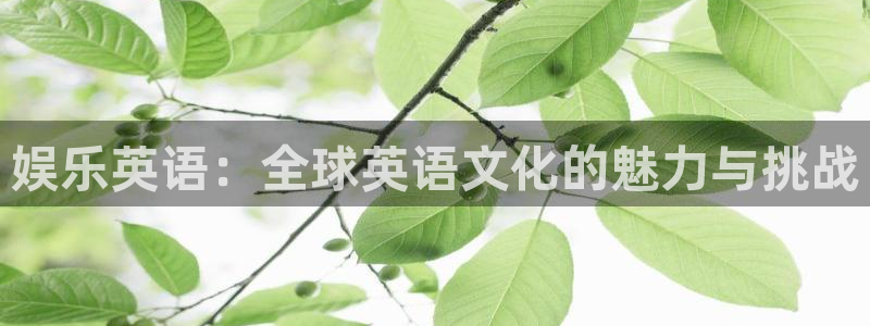 天辰娱乐吧