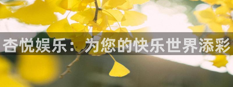 天辰娱乐下载链接是多少：杏悦娱乐：为您的快乐世界添彩