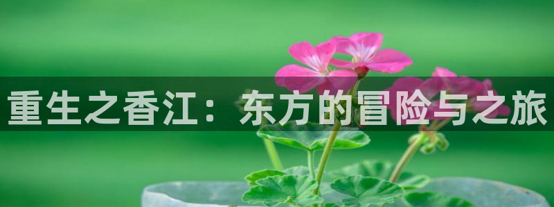 天辰娱乐app下载官网：重生之香江：东方的冒险与之旅