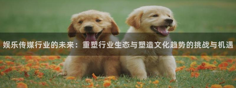 天辰娱乐注册网站app：娱乐传媒行业的未来：重塑行业生态与塑造文化趋势的挑战与机遇