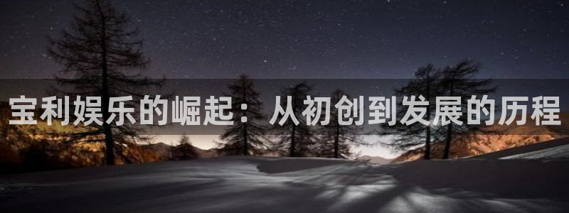 天辰娱乐平台app下载安装：宝利娱乐的崛起：从初创到发展的历程
