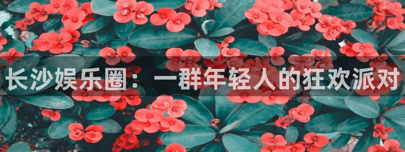 天辰娱乐平台app下载：长沙娱乐圈：一群年轻人的狂欢派对