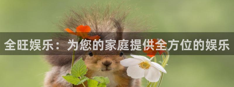 天辰娱乐注册链接
