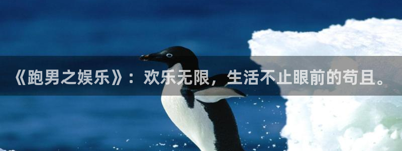壹号电子娱乐app下载：《跑男之娱乐》：欢乐无限，生活不止眼前的苟且。