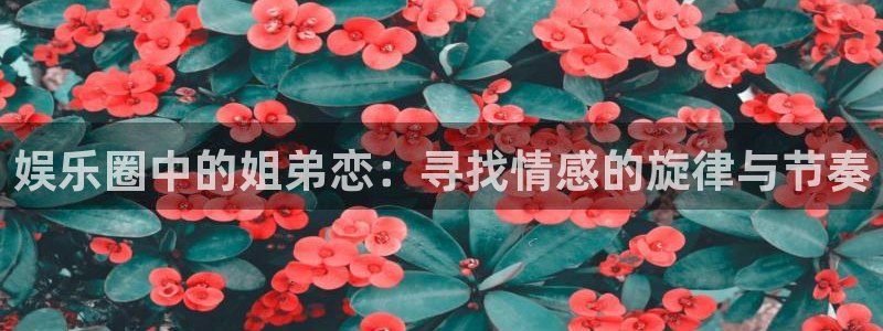 天辰娱乐游戏官网版：娱乐圈中的姐弟恋：寻找情感的旋律与节奏