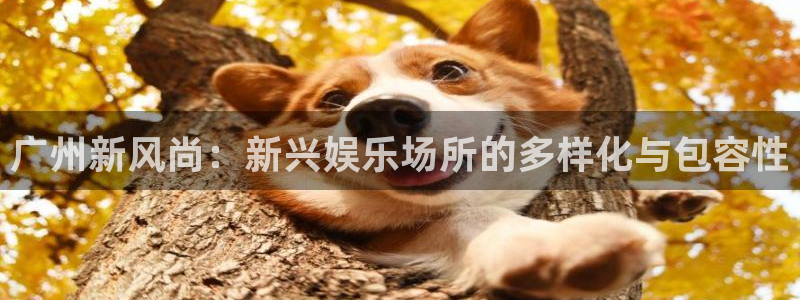 天辰娱乐平台登录：广州新风尚：新兴娱乐场所的多样化与包容性