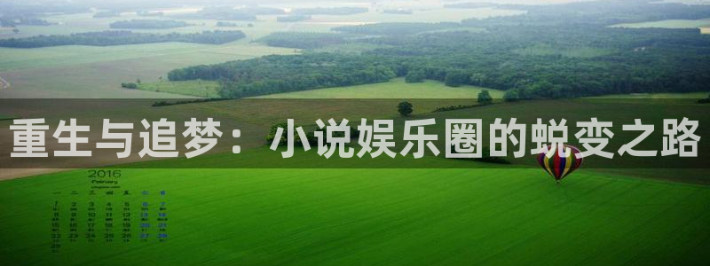 电子游戏天辰娱乐：重生与追梦：小说娱乐圈的蜕变之路