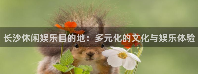 天辰娱乐游戏官网平台：长沙休闲娱乐目的地：多元化的文化与娱乐体验