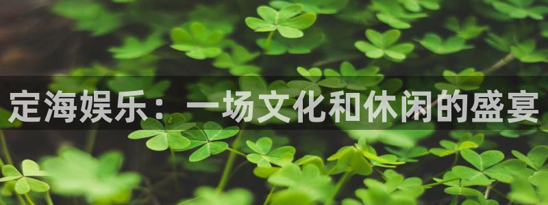 天辰娱乐官网：定海娱乐：一场文化和休闲的盛宴