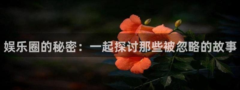 天辰娱乐app新版上线体验.游戏更新入口.中国：娱乐圈的秘密：一起探讨那些被忽略的故事