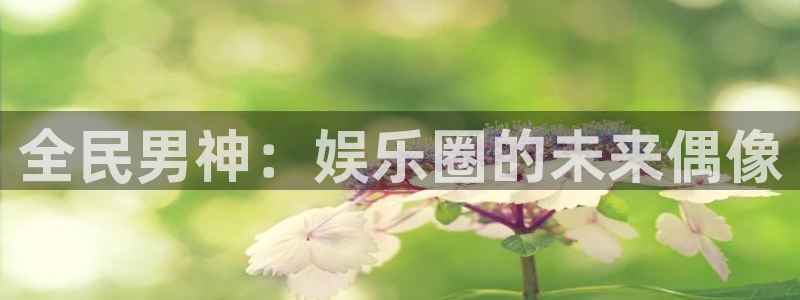 壹号电子娱乐app下载：全民男神：娱乐圈的未来偶像