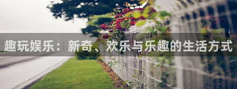 壹号电子娱乐app下载安装