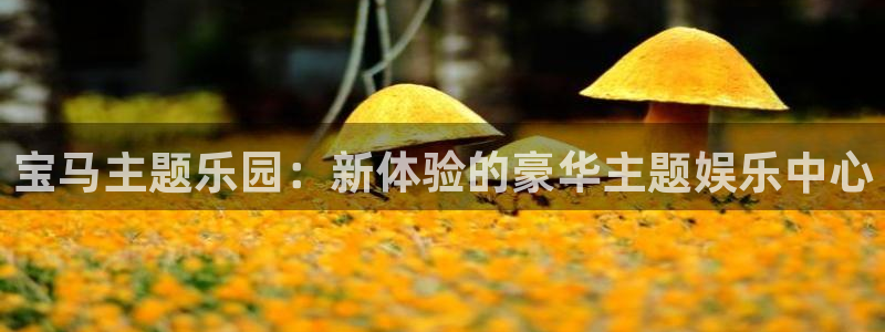 天辰娱乐平台注册