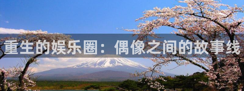 电子游戏天辰娱乐：重生的娱乐圈：偶像之间的故事线