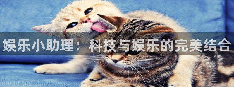 壹号电子娱乐app