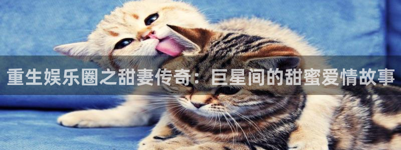 天辰娱乐平台官方入口下载