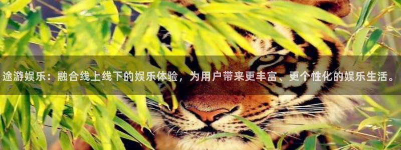 天辰娱乐ccm麻将胡了：途游娱乐：融合线上线下的娱乐体验，为用户带来更丰富、更个性化的娱乐生活。