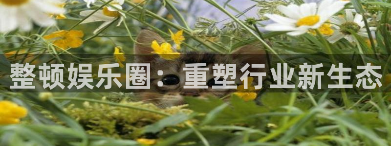 南宫天辰娱乐
