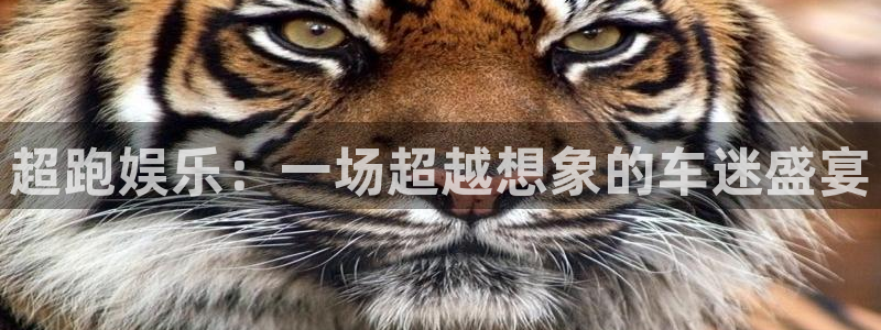天辰娱乐注册官网入口