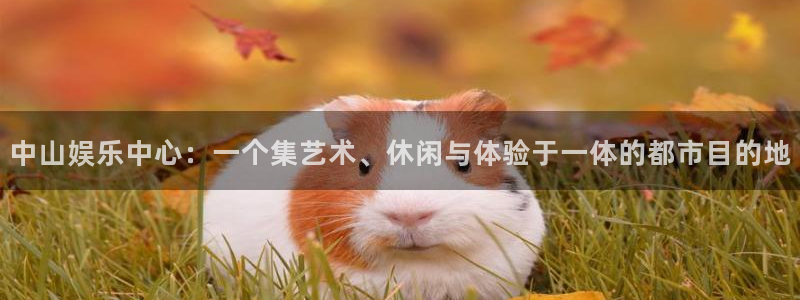 天辰娱乐路线1